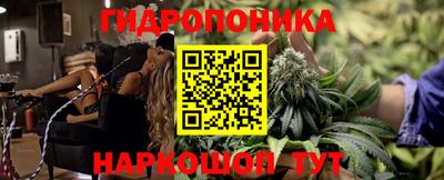 прущая мука Будённовск