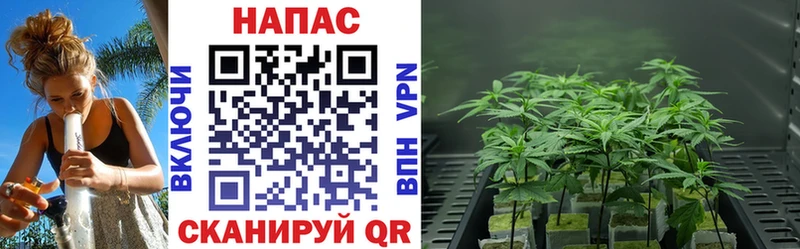 Каннабис White Widow даркнет сайт Белая Калитва